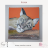 Cuadro PINTADO A MANO sobre Puma. 18 x 18