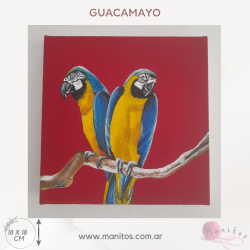 Cuadro pintado a mano de Guacamayo de 18 x 18 cm