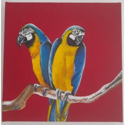 Cuadro pintado a mano de Guacamayo de 18 x 18 cm