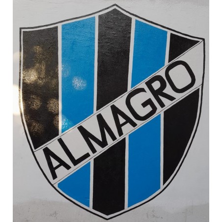 Escudo de Almagro en pared de 1 metro de ancho x 2 de alto.